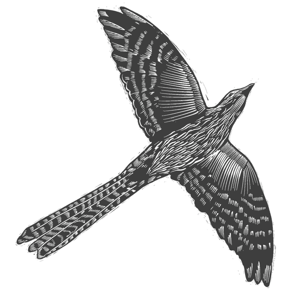 NZCMS-New-Zealand-Church-Missionary-Society-bird-icon-01