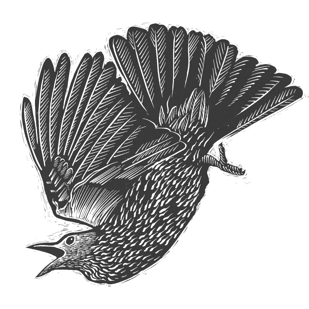 NZCMS-New-Zealand-Church-Missionary-Society-bird-icon-03