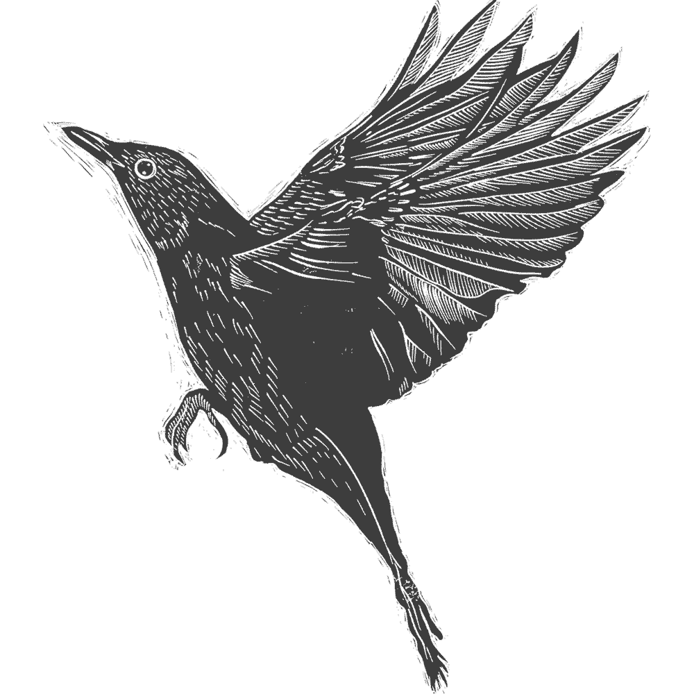 NZCMS-New-Zealand-Church-Missionary-Society-bird-icon-04