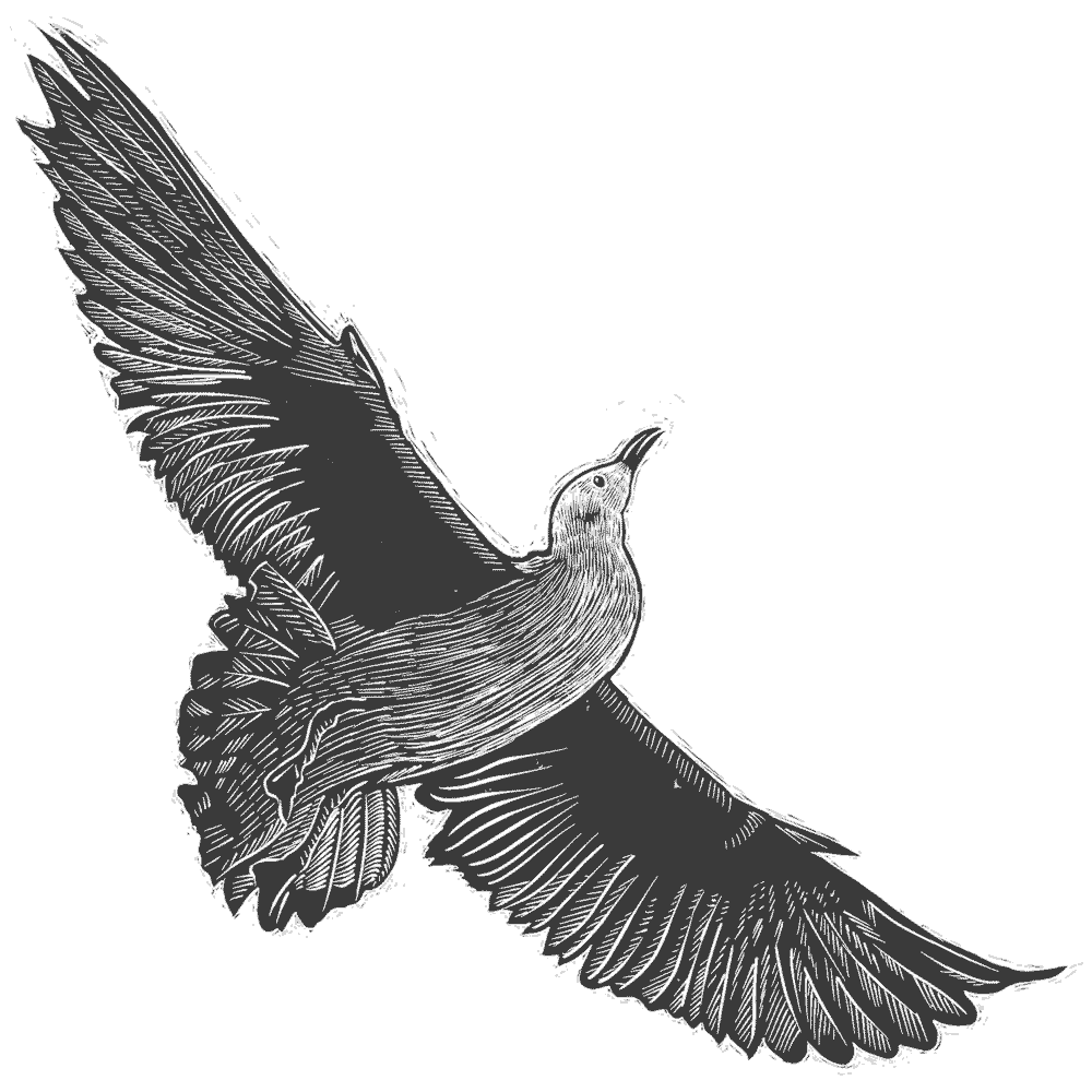NZCMS-New-Zealand-Church-Missionary-Society-bird-icon-05