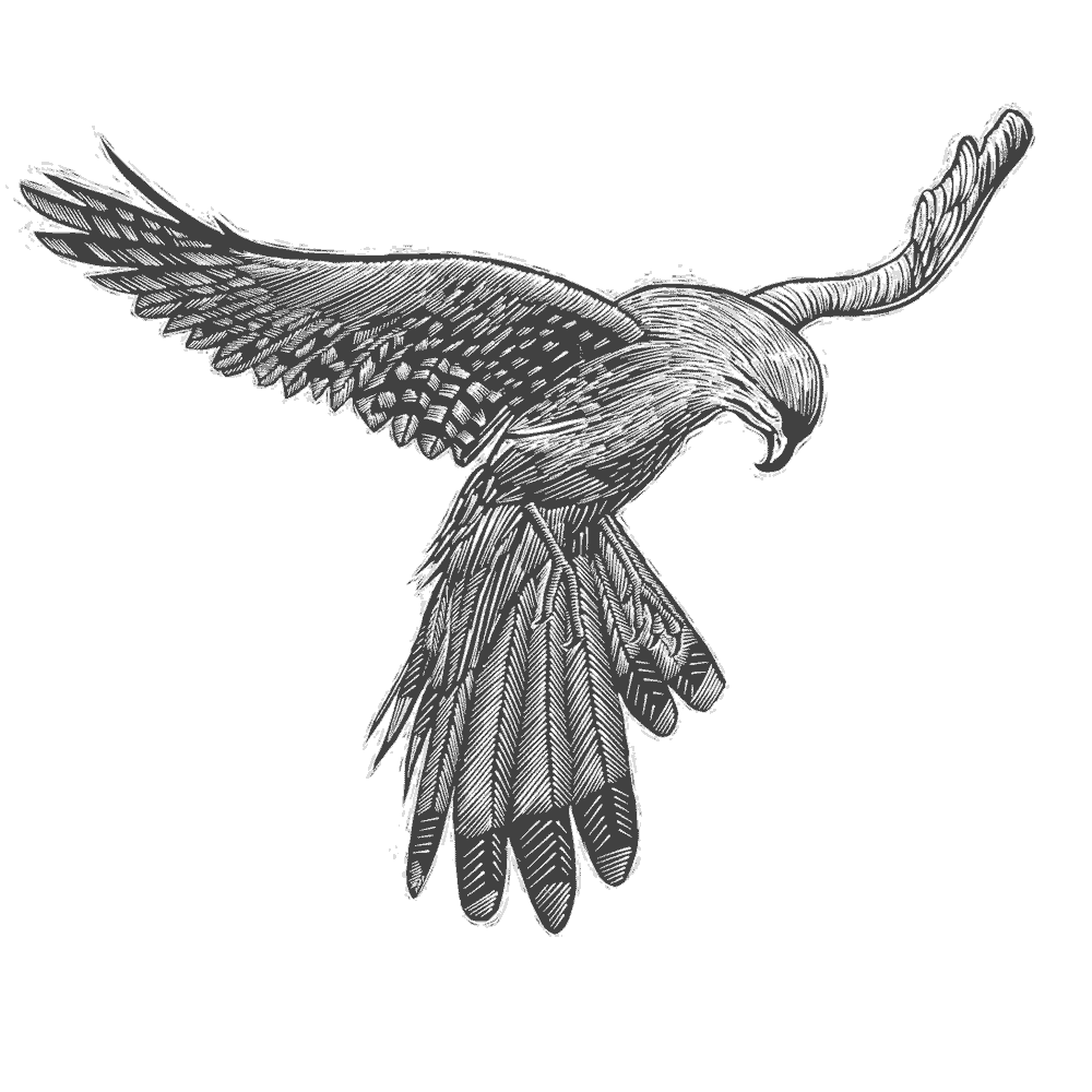 NZCMS-New-Zealand-Church-Missionary-Society-bird-icon-06
