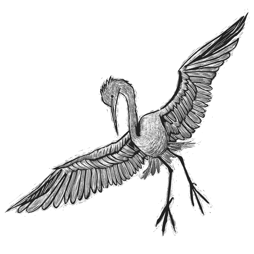 NZCMS-New-Zealand-Church-Missionary-Society-bird-icon-07