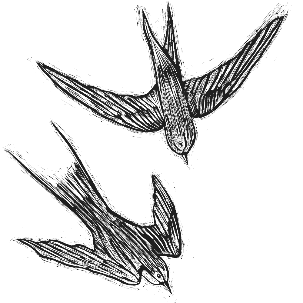 NZCMS-New-Zealand-Church-Missionary-Society-bird-icon-09